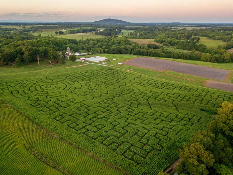 Virginia Corn Mazes