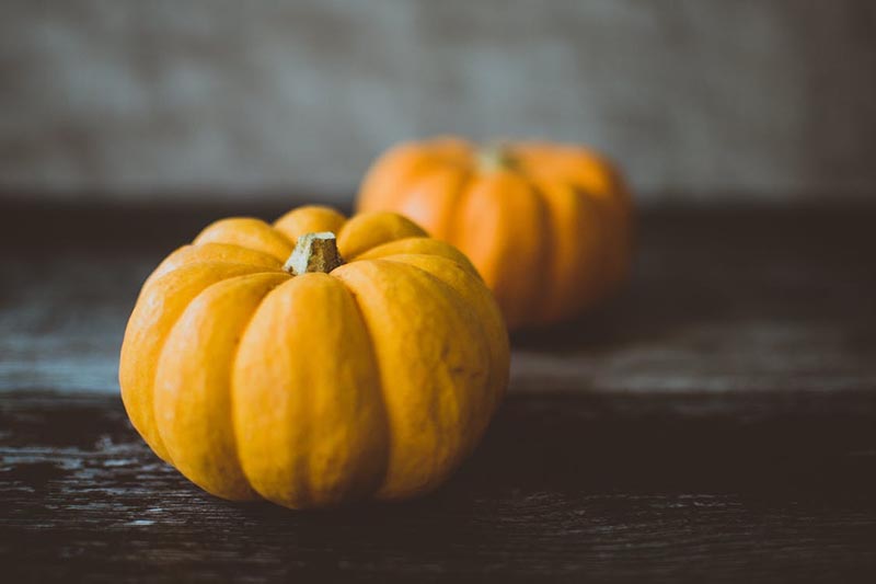 8 Pumpkin Smoothies You Can Make in Your Charlottesville Apartment