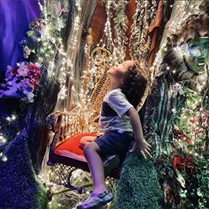 The Looking Glass Immersive Art Experience