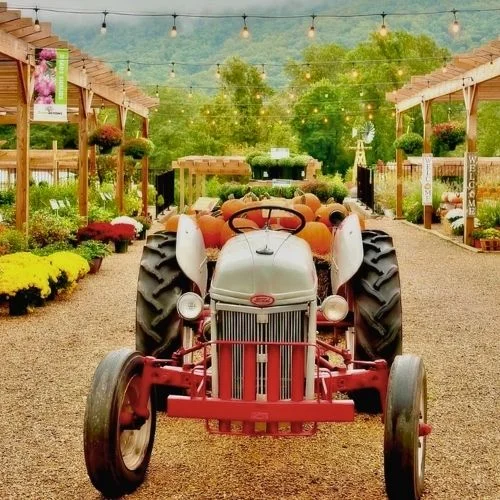 Seasonal Activities Beyond the Festivals near Charlottesville VA