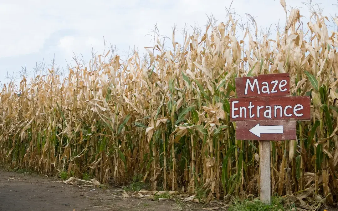 Corn Mazes Near Charlottesville, VA: Autumn Adventures Await
