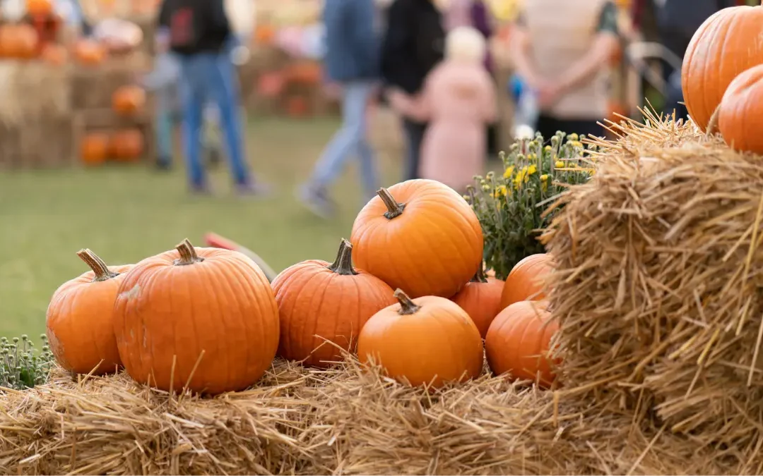 Visit the Best Fall Festivals Around Charlottesville, VA
