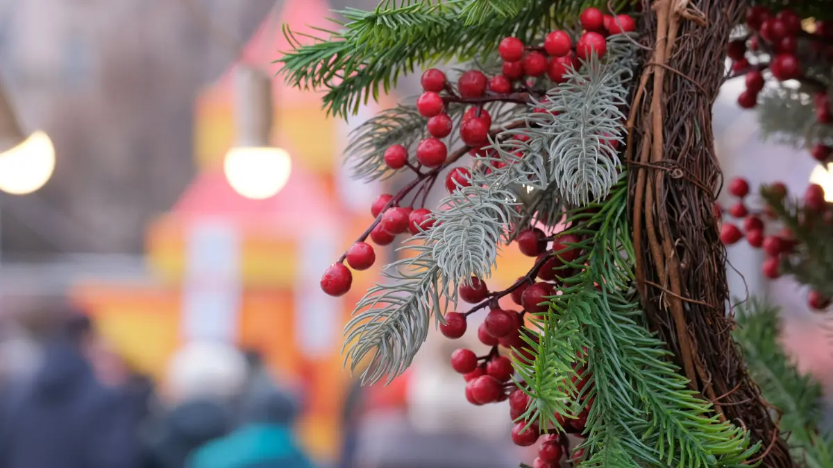 Holiday Events in Charlottesville: A Guide to Christmastime Fun