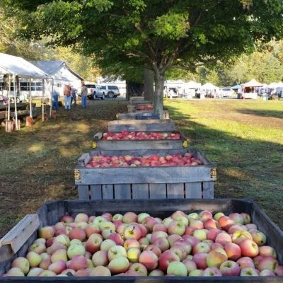 Graves Mountain Apple Harvest Festival
